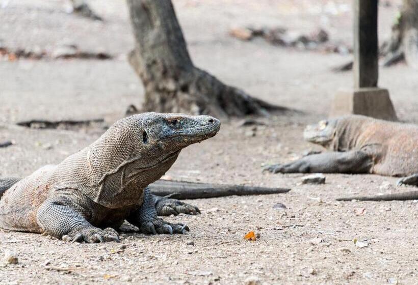 هتل Ayana Komodo Waecicu Beach