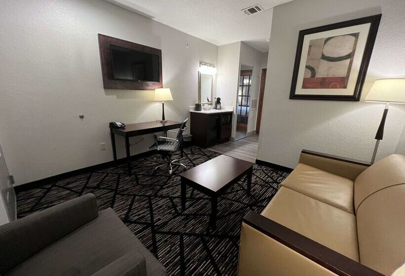 هتل Best Western Plus Hobby Airport Inn And Suites