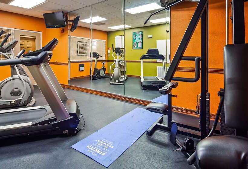 هتل Best Western Plus Hobby Airport Inn And Suites
