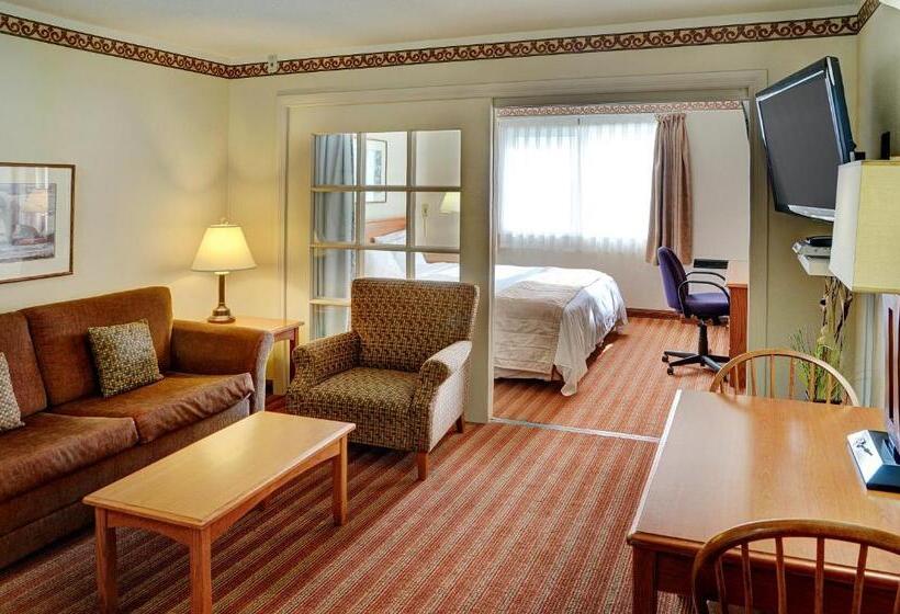 בית מלון כפרי Lakeview Inns & Suites  Brandon