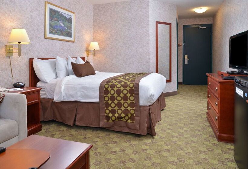 هتل Lexington Inn & Suites Windsor