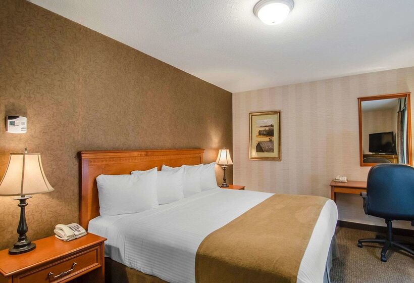 فندق Quality Inn & Suites