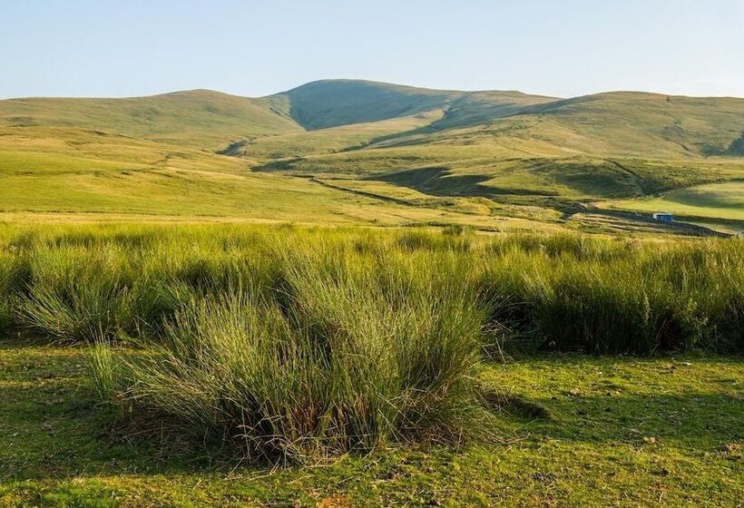 ベッドアンドブレックファースト High Greenside