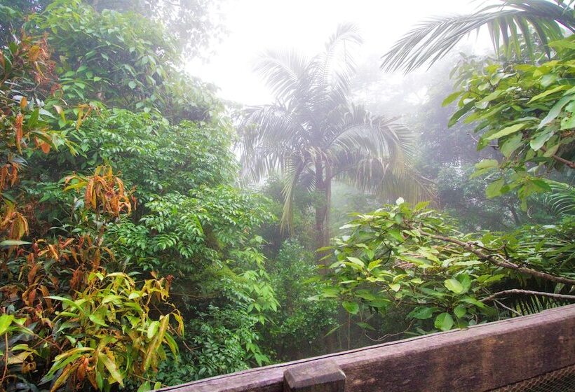 Mt Glorious Getaways