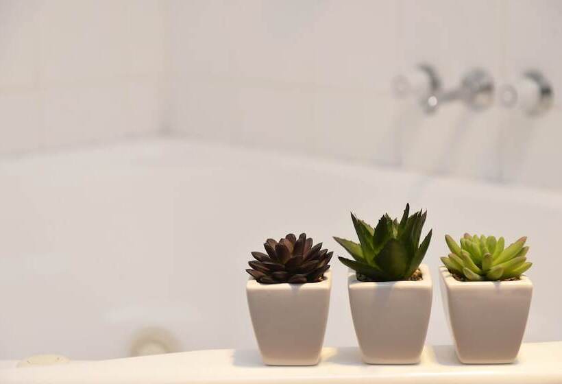 אתר נופש Riverside Cabin Park