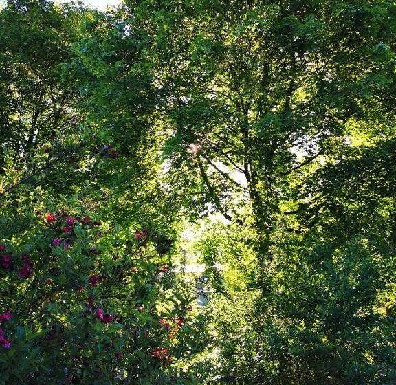 ベッドアンドブレックファースト Gästehaus Neu Am Passionstheater