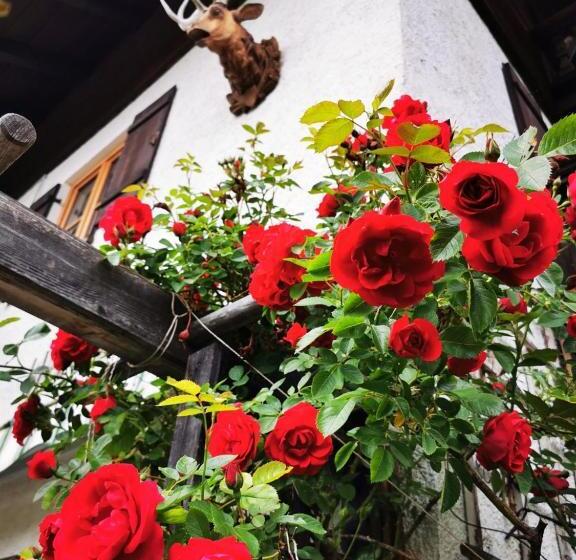 ベッドアンドブレックファースト Gästehaus Neu Am Passionstheater