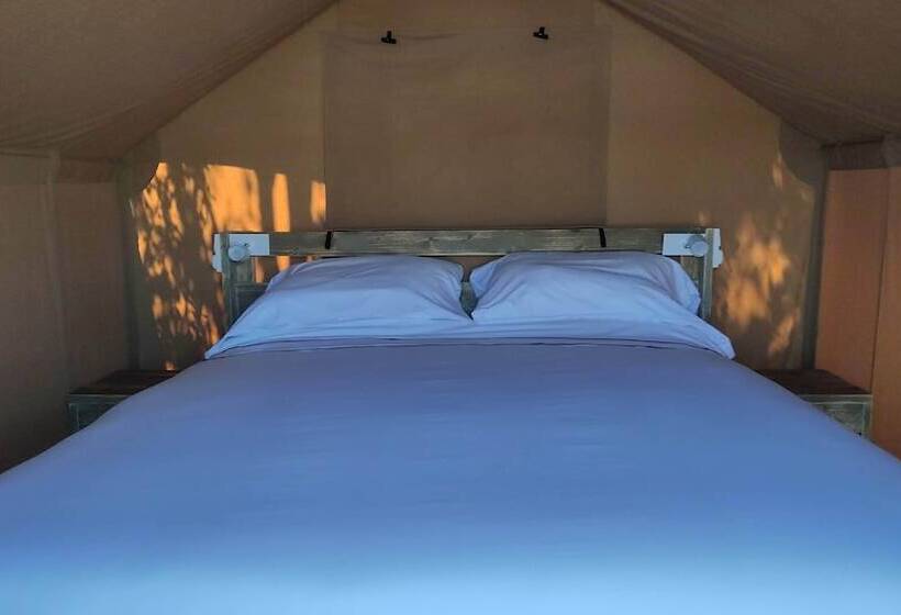 هتل Camping Las Gaviotas