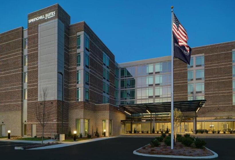 Отель Springhill Suites By Marriott Franklin Cool Springs