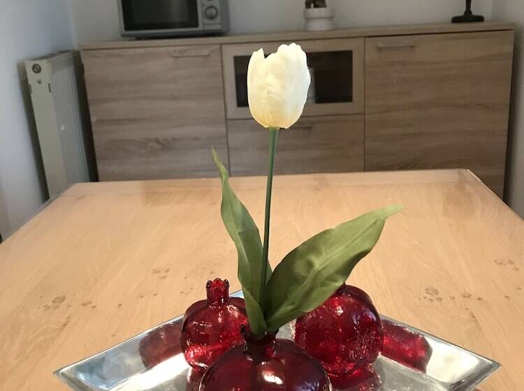 Ganzes Haus Nähe Köln Messe Airport City