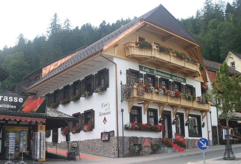هتل Gästehaus Zur Lilie