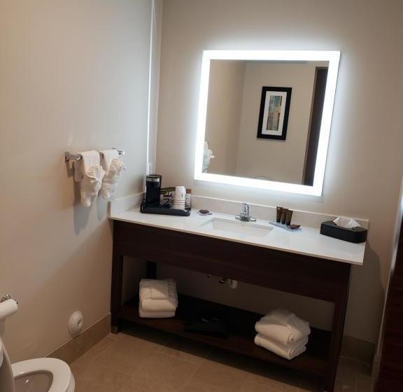 酒店 Wingate By Wyndham Christiansburg