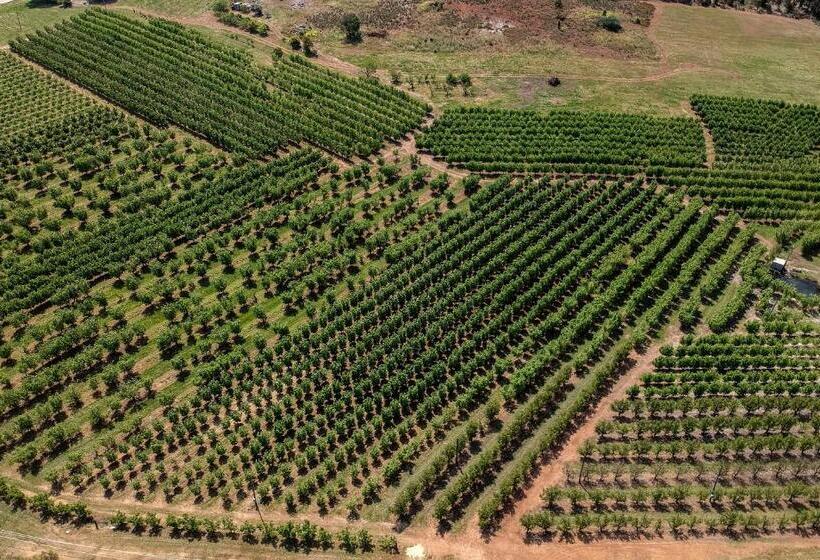 پانسیون Farview Guest Accommodation