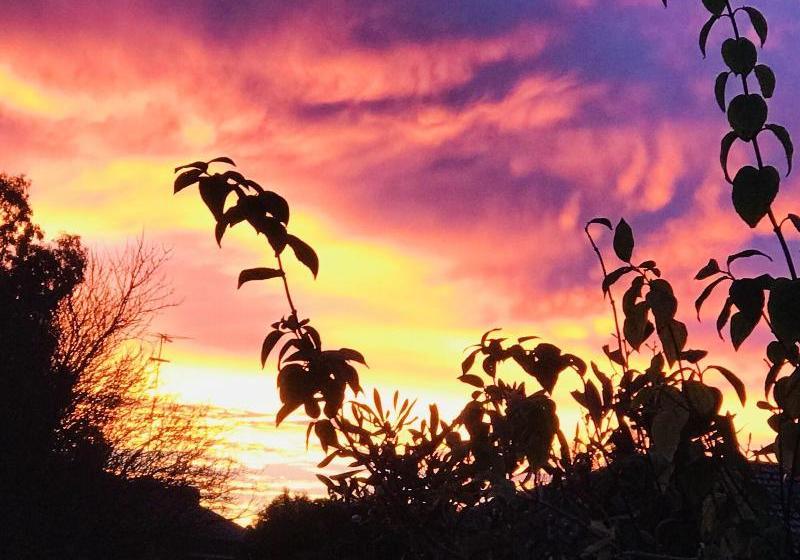 بنسيون Sweet Dreams Retreat At Lara