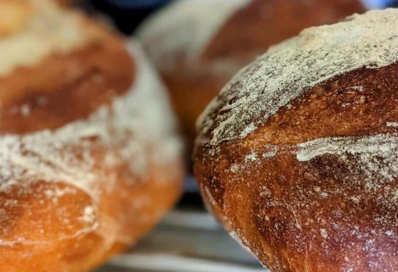 ベッドアンドブレックファースト The Bear Bread Bakery, Boutique En Suite Rooms With Breakfast In The Bakery, In The Heart Of Colyton