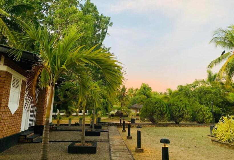 בית מלון כפרי Sethway Village