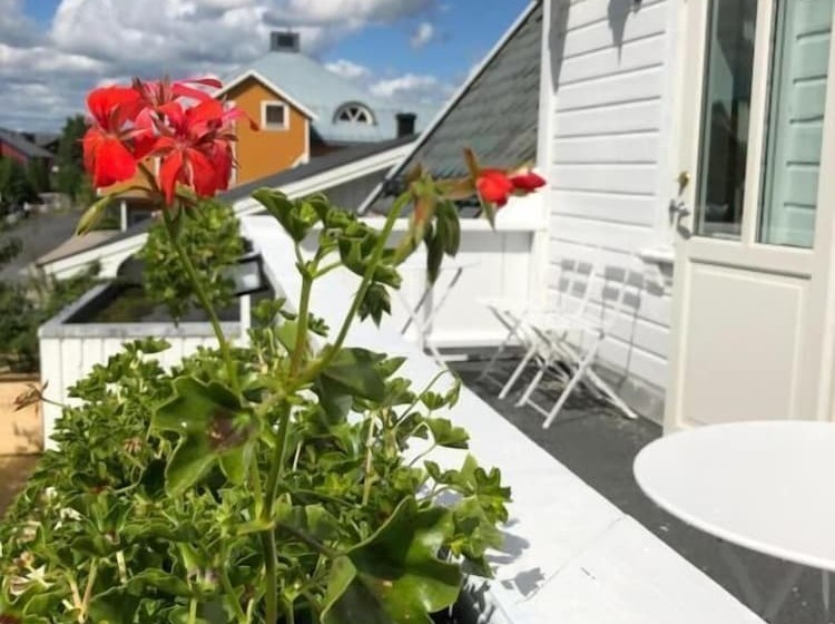 住宿加早餐  Villa Sole, Trysil