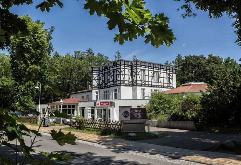 Best Western Plus Ostseehotel Waldschloesschen