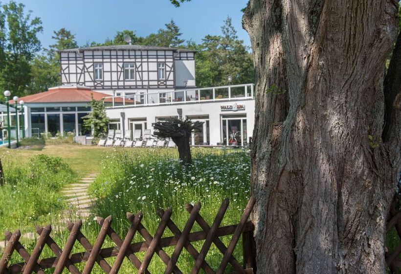 Best Western Plus Ostseehotel Waldschloesschen