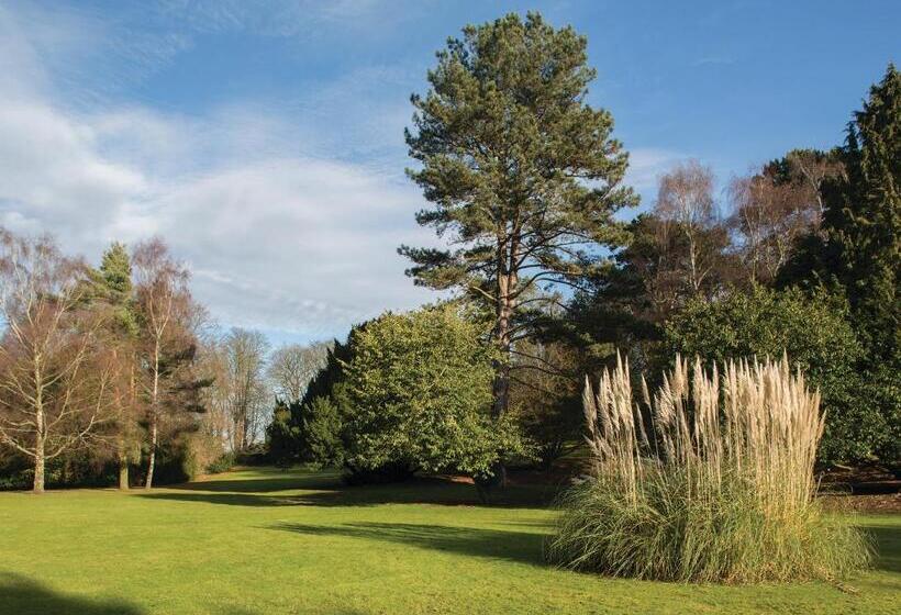בית מלון כפרי Brandshatch Place & Spa