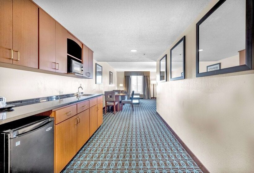 هتل Wingate By Wyndham Schaumburg