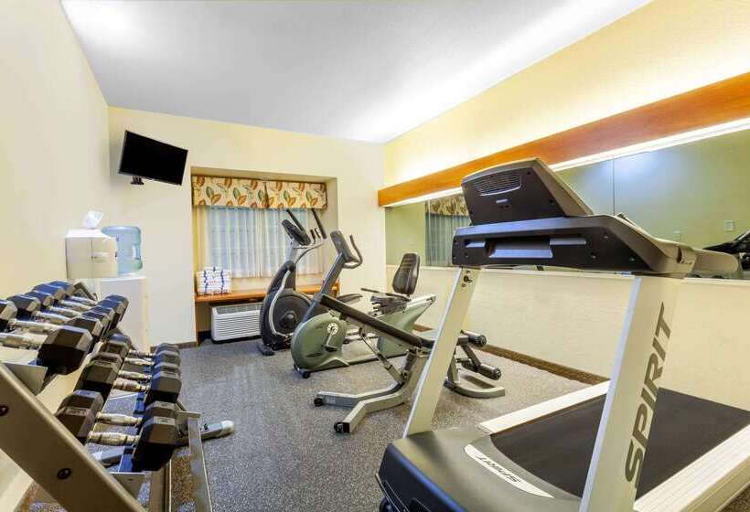 Microtel Inn & Suites By Wyndham Gulf Shores