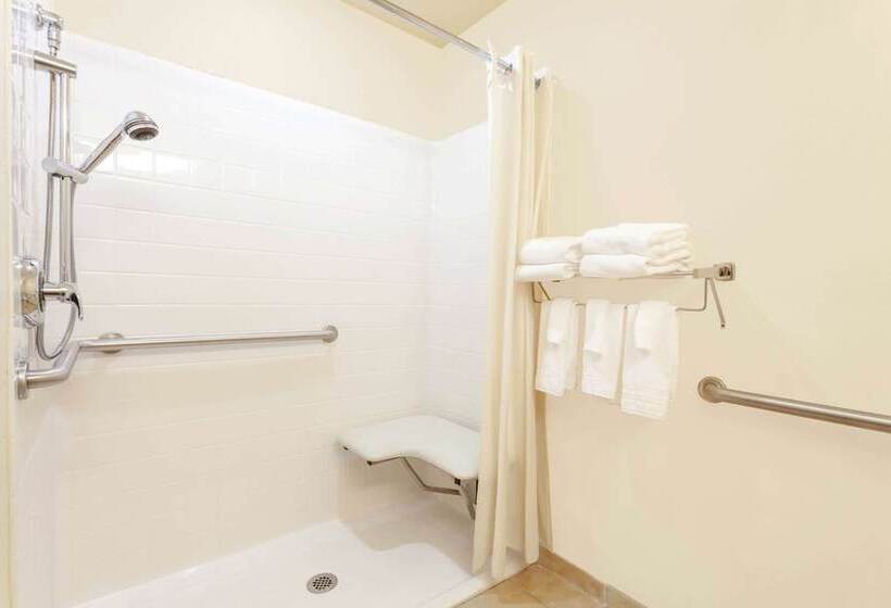 Microtel Inn & Suites By Wyndham Gulf Shores