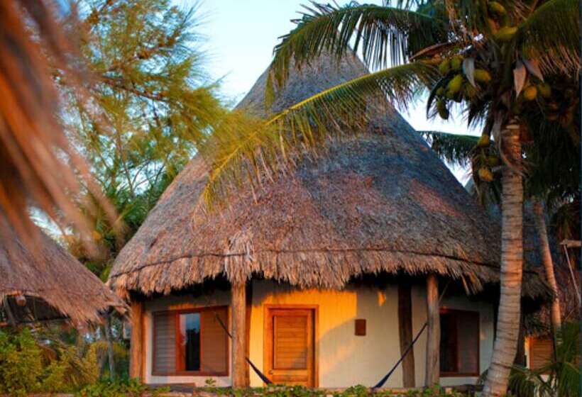 استراحتگاه Holbox By Xaloc