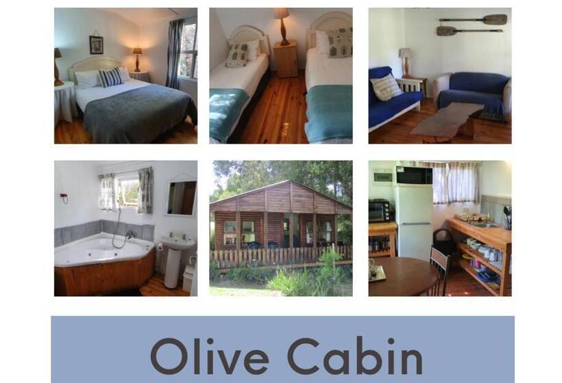 هاستل Plett Forest Cabins