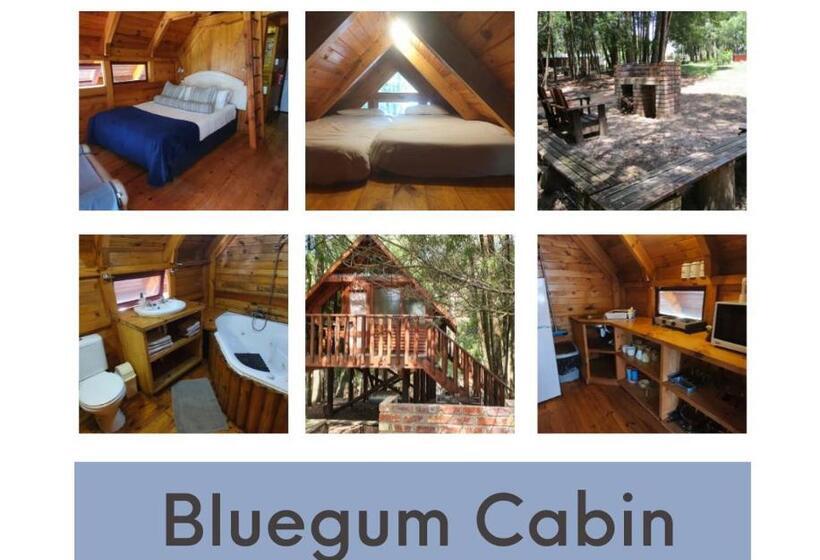هاستل Plett Forest Cabins