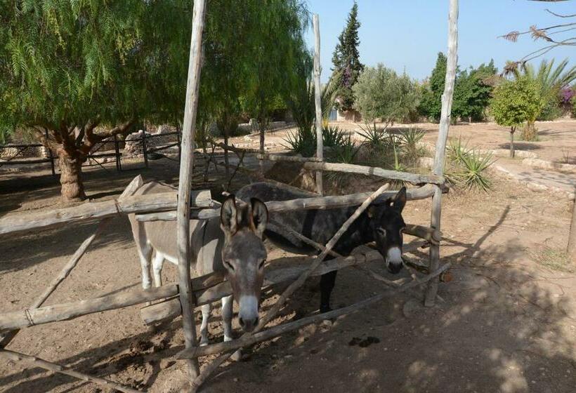 پانسیون Domaine Argania