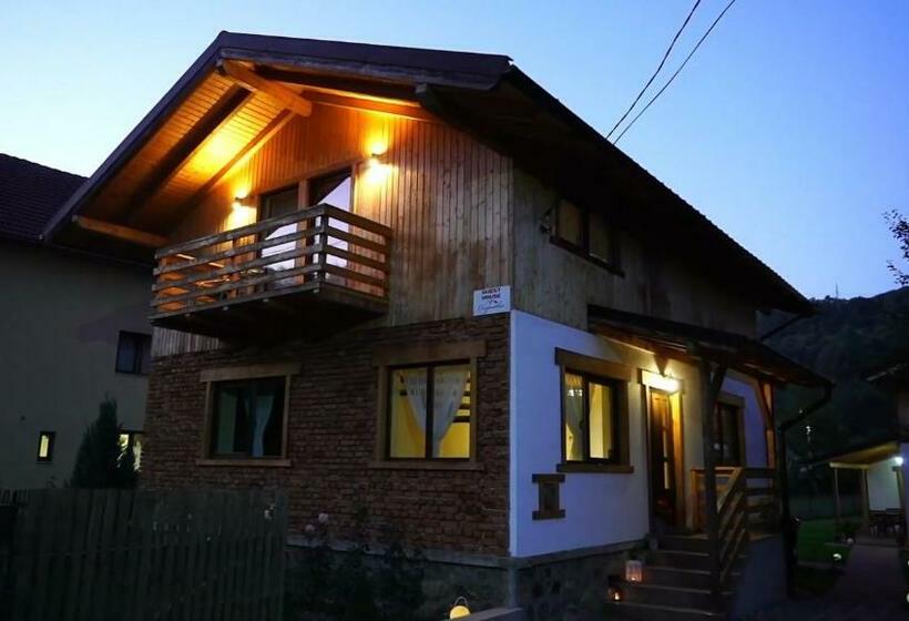 پانسیون Guest House Carpathia