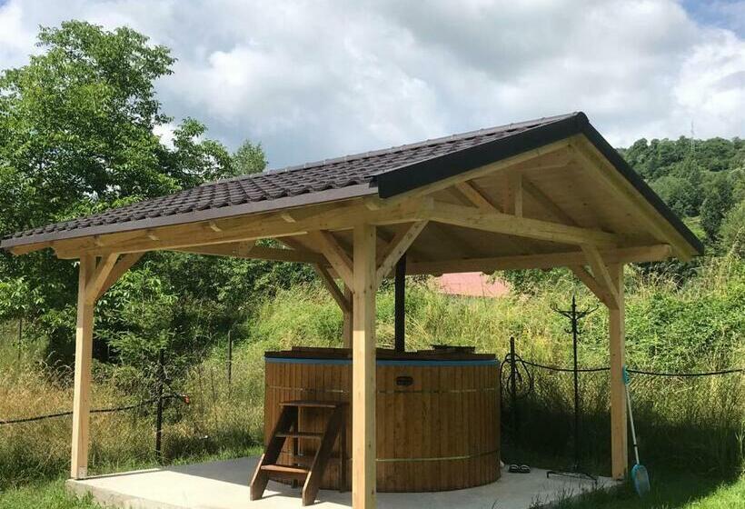 پانسیون Guest House Carpathia