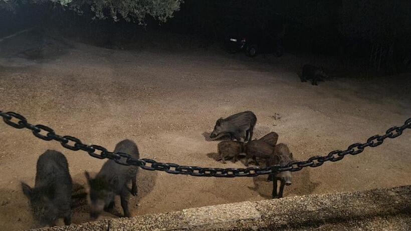 منتجع Alojamiento Turístico El Pantano De Cazorla