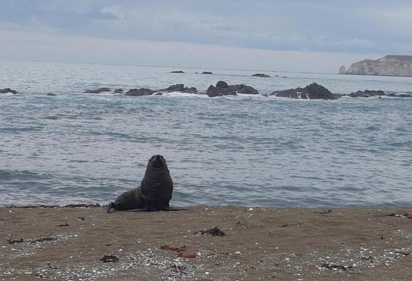 هاستل The Lazy Shag Lodge