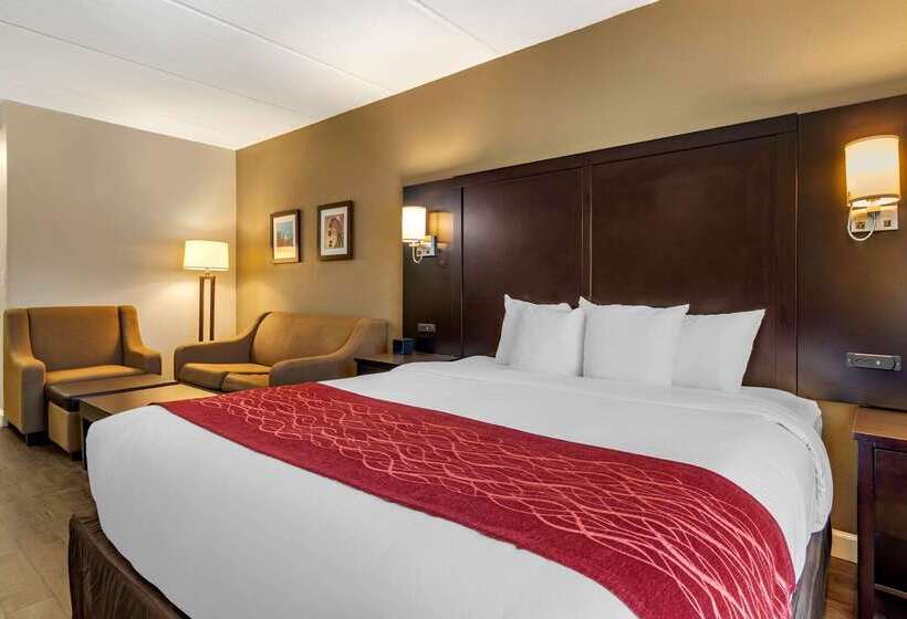 هتل Comfort Inn & Suites Near Six Flags