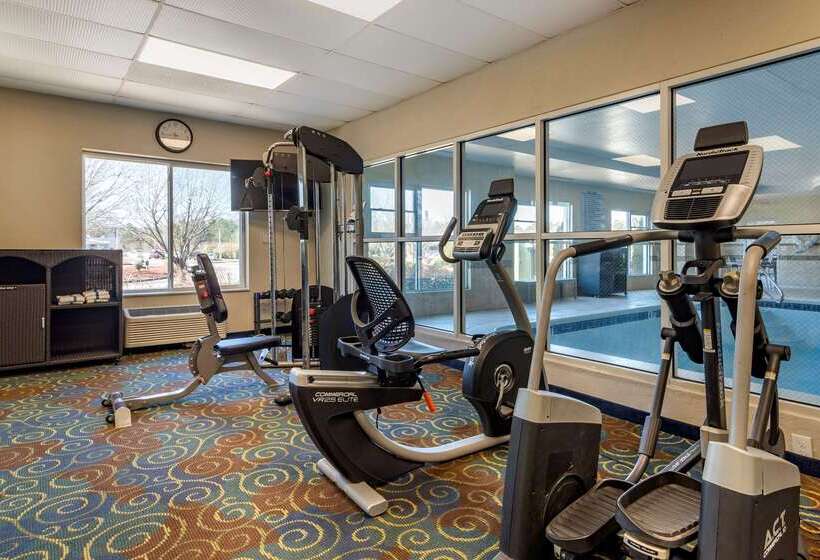 هتل Comfort Inn & Suites Near Six Flags