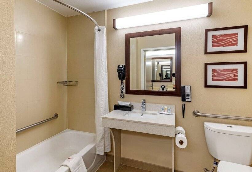 هتل Comfort Inn & Suites Near Six Flags