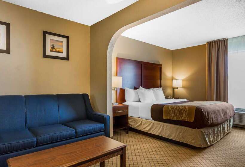 فندق Comfort Inn & Suites Mishawakasouth Bend
