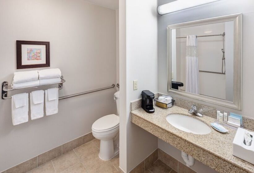 فندق Hampton Inn & Suites Dothan