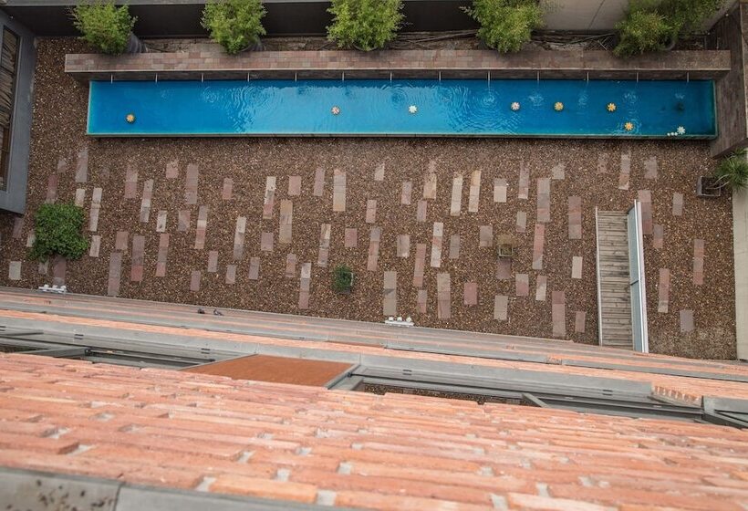 King David Flat Hotel   Argentina