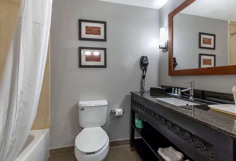 בית מלון כפרי Quality Inn & Suites I 35 E Walnut Hill