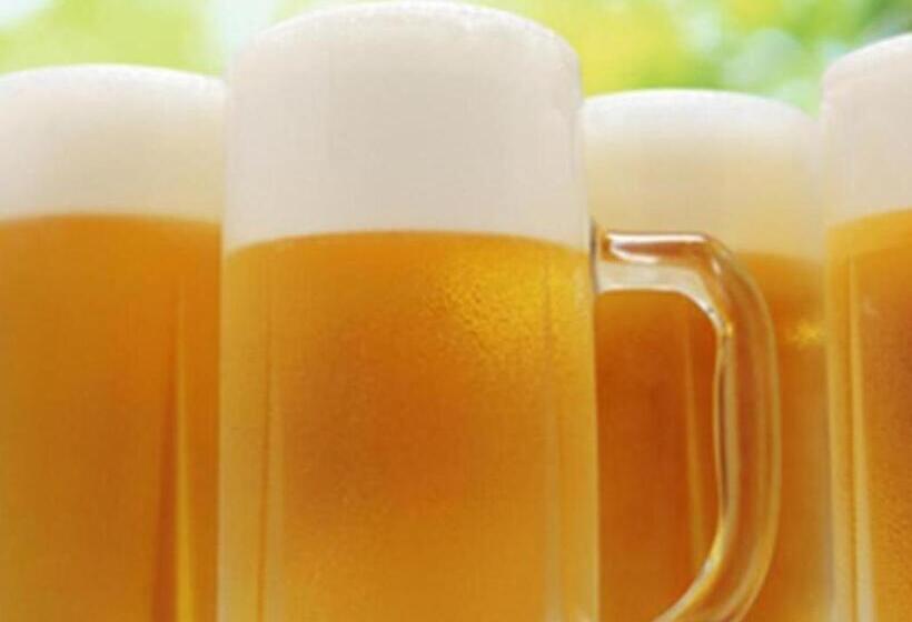 فندق Miyakonojo Royal