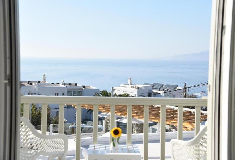 هتل Damianos Mykonos