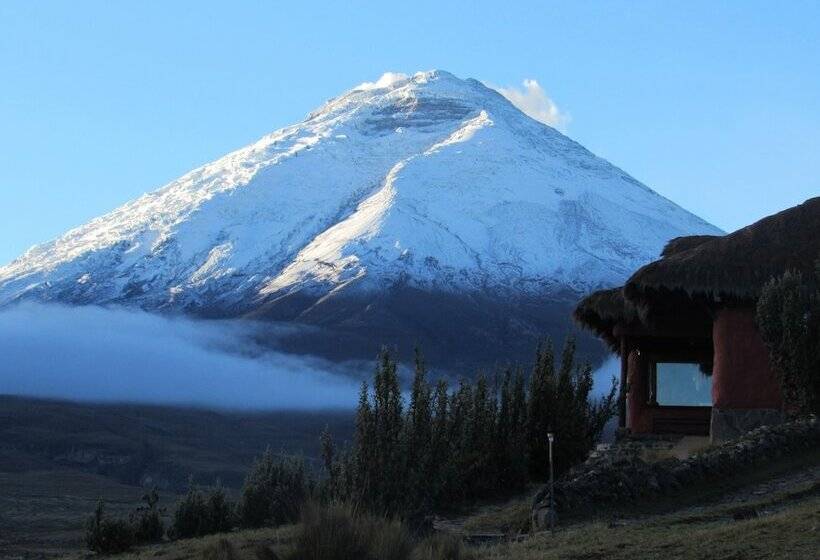 هتل Tambopaxi