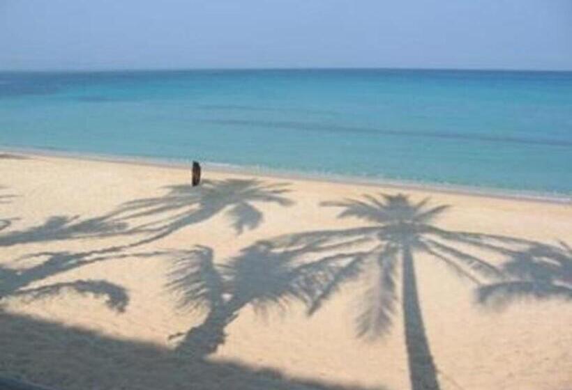 Отель Palm Grove Saud Holiday Complex
