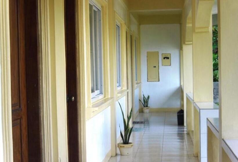 Отель Palm Grove Saud Holiday Complex