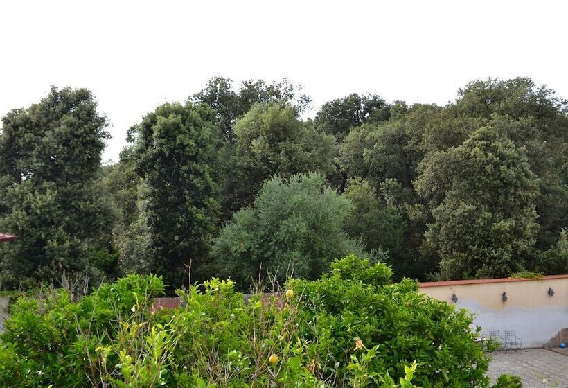 B&b Palazzo Sarlo
