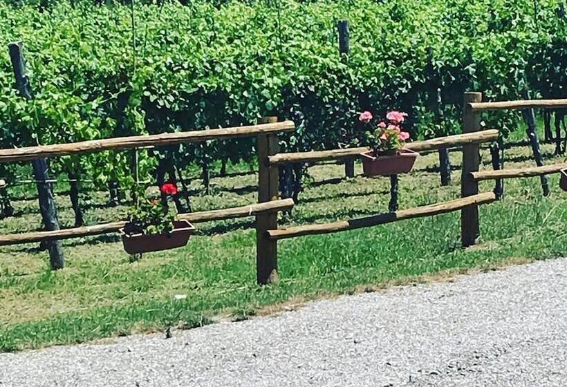 ベッドアンドブレックファースト La Timpa Del Cucco