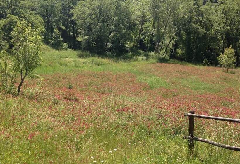 ベッドアンドブレックファースト La Timpa Del Cucco